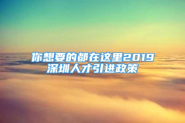 你想要的都在這里2019深圳人才引進政策