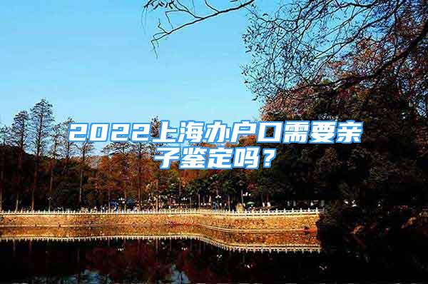 2022上海辦戶口需要親子鑒定嗎？