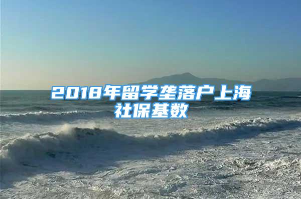 2018年留學壟落戶上海社?；鶖?shù)