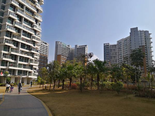 深圳市招調入戶體檢