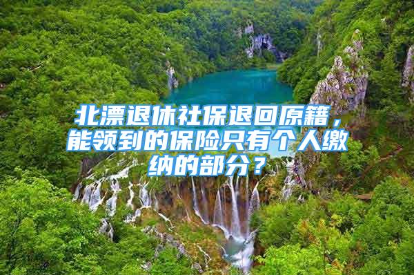 北漂退休社保退回原籍，能領(lǐng)到的保險(xiǎn)只有個(gè)人繳納的部分？