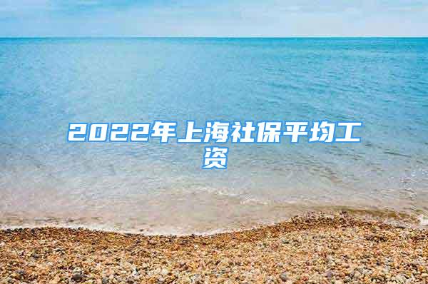 2022年上海社保平均工資