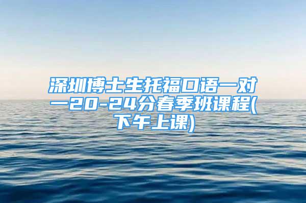 深圳博士生托?？谡Z一對一20-24分春季班課程(下午上課)