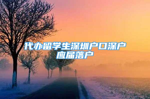 代辦留學生深圳戶口深戶應屆落戶