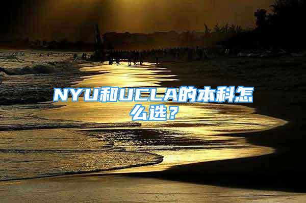 NYU和UCLA的本科怎么選？