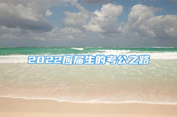 2022應(yīng)屆生的考公之路