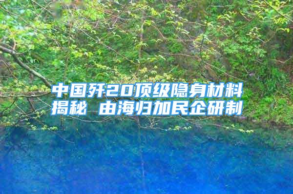 中國(guó)殲20頂級(jí)隱身材料揭秘 由海歸加民企研制