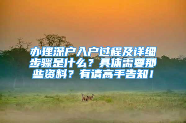 辦理深戶入戶過程及詳細步驟是什么？具體需要那些資料？有請高手告知！