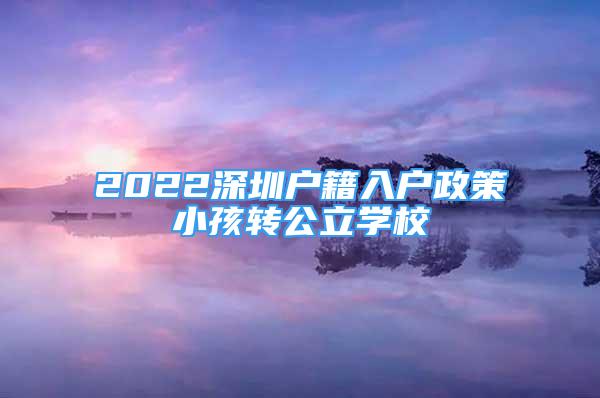 2022深圳戶籍入戶政策小孩轉(zhuǎn)公立學校