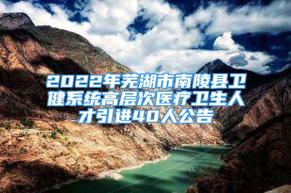 2022年蕪湖市南陵縣衛(wèi)健系統(tǒng)高層次醫(yī)療衛(wèi)生人才引進(jìn)40人公告