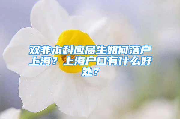 雙非本科應(yīng)屆生如何落戶上海？上海戶口有什么好處？