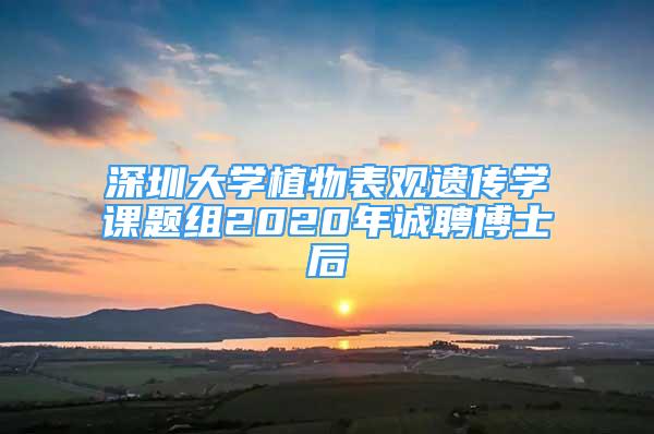 深圳大學(xué)植物表觀遺傳學(xué)課題組2020年誠(chéng)聘博士后