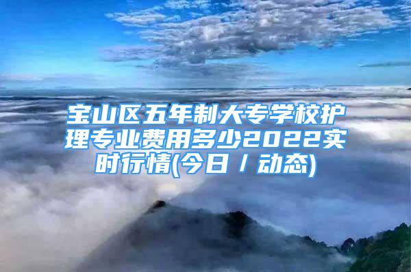 寶山區(qū)五年制大專學(xué)校護(hù)理專業(yè)費(fèi)用多少2022實(shí)時(shí)行情(今日／動(dòng)態(tài))