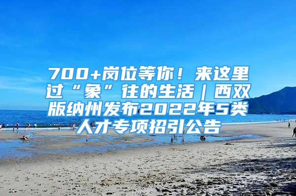 700+崗位等你！來這里過“象”往的生活｜西雙版納州發(fā)布2022年5類人才專項招引公告