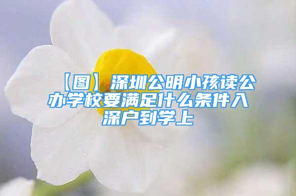 【圖】深圳公明小孩讀公辦學(xué)校要滿足什么條件入深戶到學(xué)上