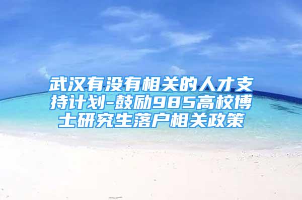 武漢有沒有相關(guān)的人才支持計劃-鼓勵985高校博士研究生落戶相關(guān)政策