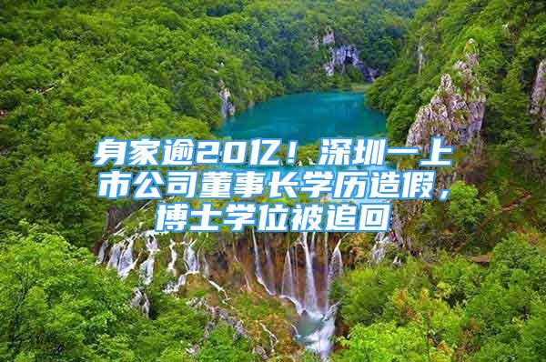 身家逾20億！深圳一上市公司董事長(zhǎng)學(xué)歷造假，博士學(xué)位被追回