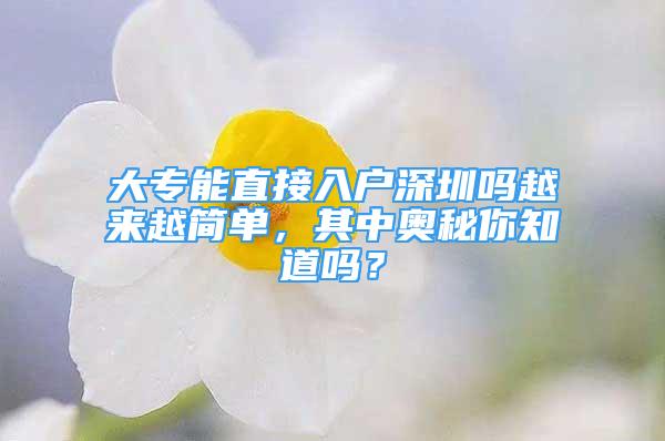 大專能直接入戶深圳嗎越來越簡單，其中奧秘你知道嗎？