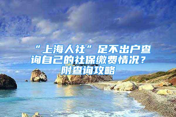 “上海人社”足不出戶查詢自己的社保繳費(fèi)情況？附查詢攻略