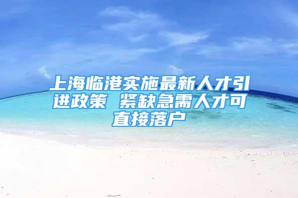 上海臨港實施最新人才引進政策 緊缺急需人才可直接落戶