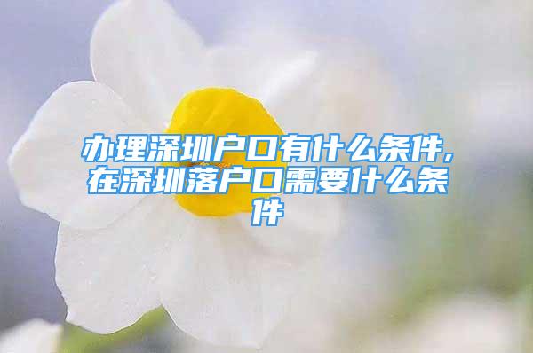 辦理深圳戶口有什么條件,在深圳落戶口需要什么條件