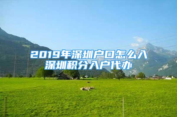 2019年深圳戶口怎么入深圳積分入戶代辦