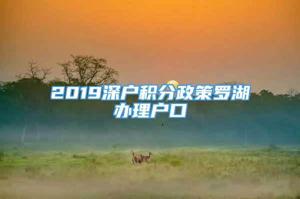 2019深戶積分政策羅湖辦理戶口