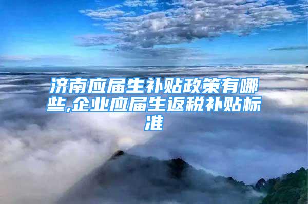 濟南應屆生補貼政策有哪些,企業(yè)應屆生返稅補貼標準