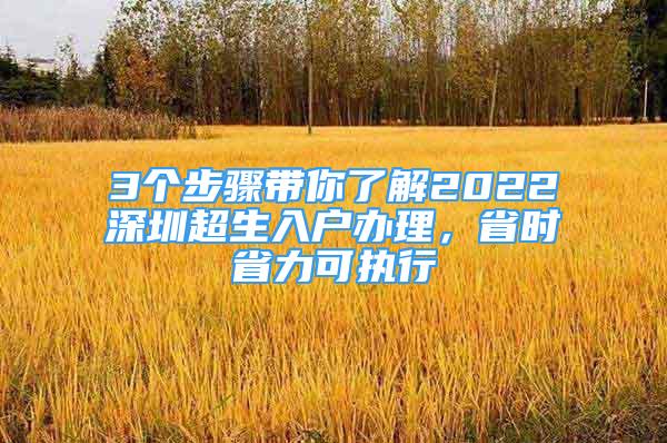 3個(gè)步驟帶你了解2022深圳超生入戶(hù)辦理，省時(shí)省力可執(zhí)行