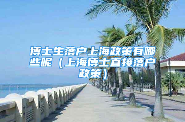 博士生落戶上海政策有哪些呢（上海博士直接落戶政策）