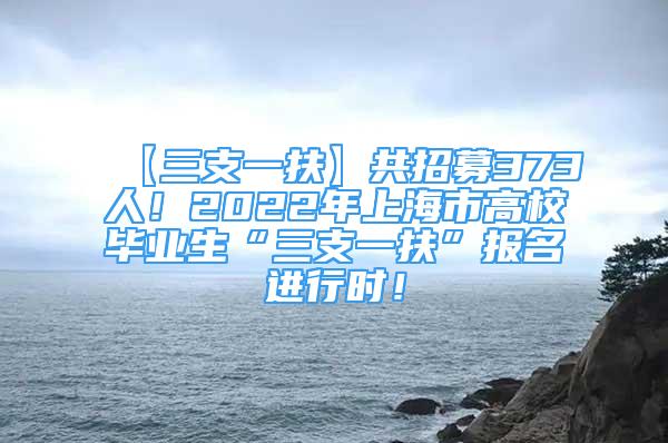 【三支一扶】共招募373人！2022年上海市高校畢業(yè)生“三支一扶”報(bào)名進(jìn)行時(shí)！