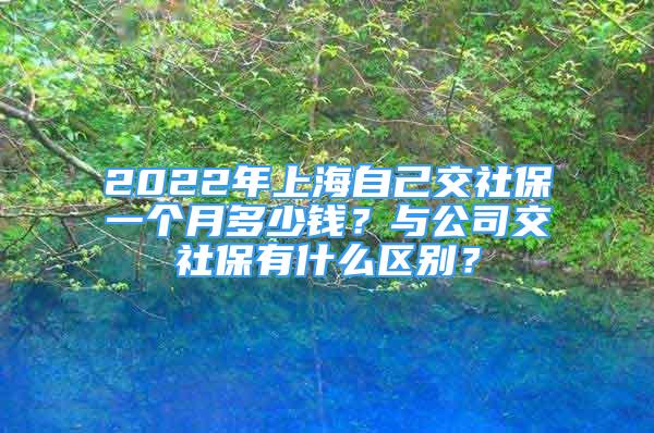 2022年上海自己交社保一個月多少錢？與公司交社保有什么區(qū)別？