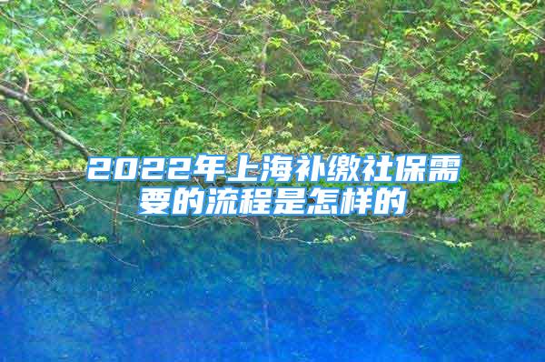 2022年上海補(bǔ)繳社保需要的流程是怎樣的