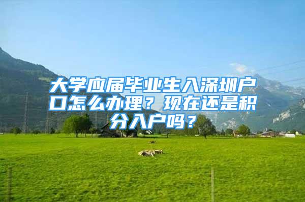 大學(xué)應(yīng)屆畢業(yè)生入深圳戶口怎么辦理？現(xiàn)在還是積分入戶嗎？