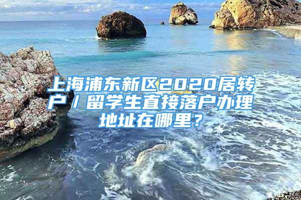 上海浦東新區(qū)2020居轉(zhuǎn)戶／留學(xué)生直接落戶辦理地址在哪里？