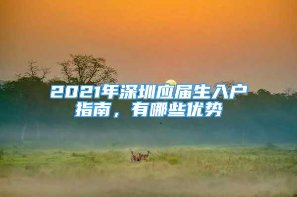 2021年深圳應(yīng)屆生入戶指南，有哪些優(yōu)勢