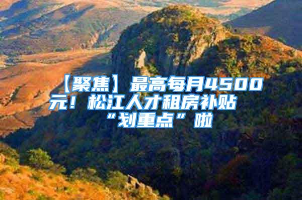 【聚焦】最高每月4500元！松江人才租房補貼“劃重點”啦