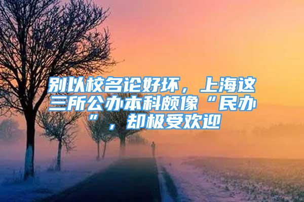 別以校名論好壞，上海這三所公辦本科頗像“民辦”，卻極受歡迎