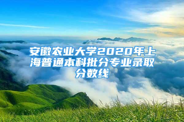 安徽農(nóng)業(yè)大學(xué)2020年上海普通本科批分專業(yè)錄取分?jǐn)?shù)線