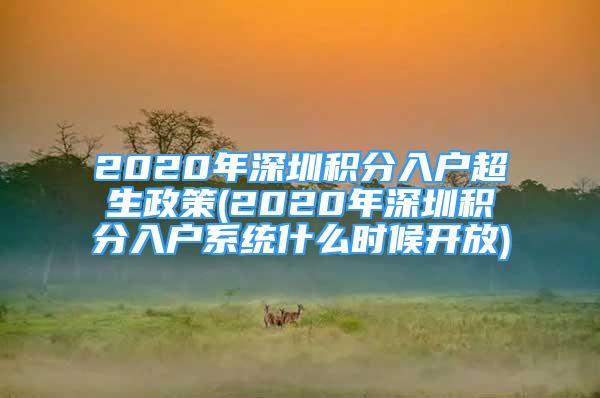 2020年深圳積分入戶超生政策(2020年深圳積分入戶系統什么時候開放)