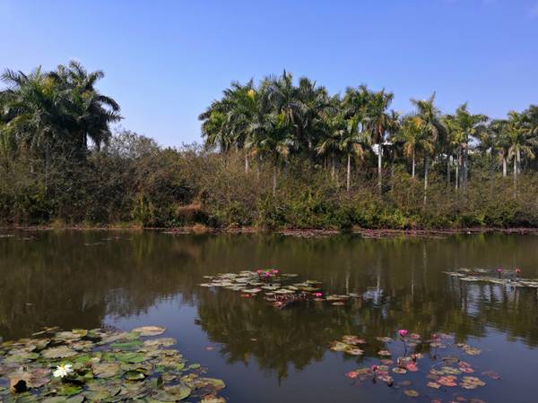 深圳轉戶口去哪里辦理流程