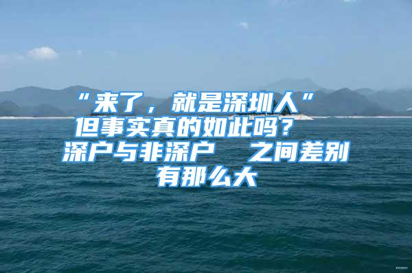 “來(lái)了，就是深圳人”  但事實(shí)真的如此嗎？  深戶與非深戶  之間差別有那么大