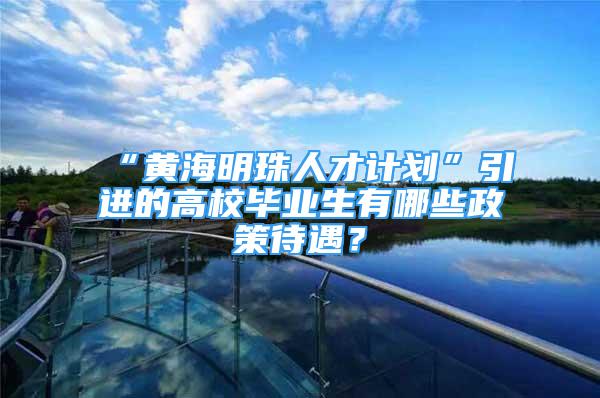 “黃海明珠人才計劃”引進的高校畢業(yè)生有哪些政策待遇？