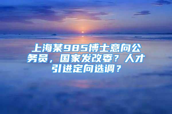 上海某985博士意向公務員，國家發(fā)改委？人才引進定向選調？