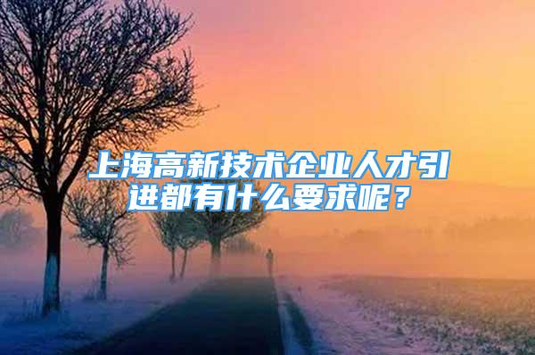 上海高新技術企業(yè)人才引進都有什么要求呢？