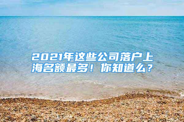 2021年這些公司落戶上海名額最多！你知道么？