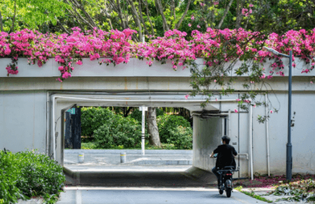 深圳居住證續(xù)簽如何在手機(jī)上操作