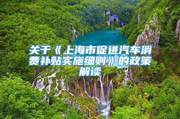 關于《上海市促進汽車消費補貼實施細則》的政策解讀