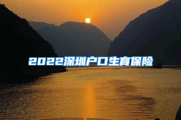 2022深圳戶口生育保險