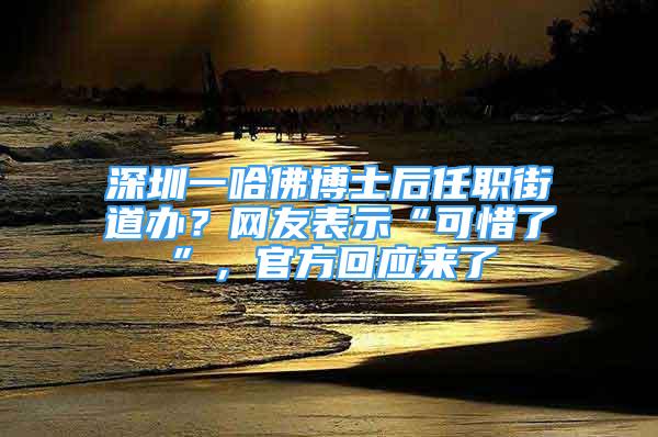 深圳一哈佛博士后任職街道辦？網(wǎng)友表示“可惜了”，官方回應(yīng)來了